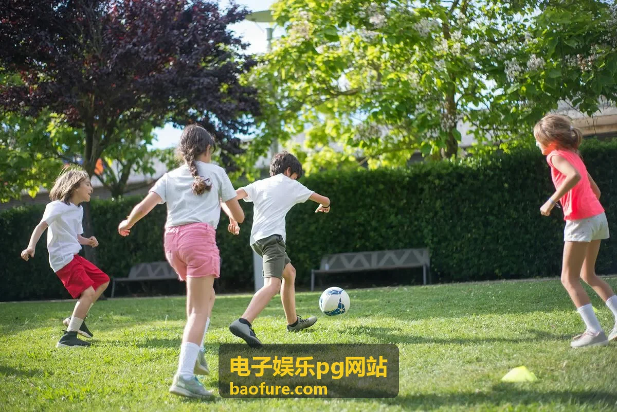 电子娱乐pg网站平台评测参考页面的对照示意